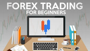 HOW TO START FOREX TRADING WITH FOREXBOTZ?