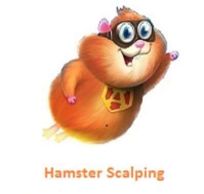 Hamster Scalping EA