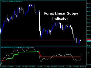 Linear Guppy Indicator