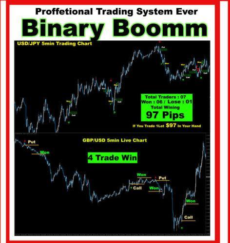 NoBrainer Scalping System Forex Indicator