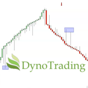 DynoBars Pro – (Ninja Trader Platform)