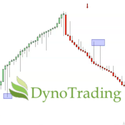 DynoBars Pro – (Ninja Trader Platform)